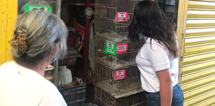 Atiende Alcaldía Municipal denuncia por presunto maltrato animal en el Mercado de Abasto