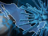 Crisis por Covid-19 debe poner fin a la era del ‘feuderalismo’ en México: Adrián Ortiz Romero Cuevas