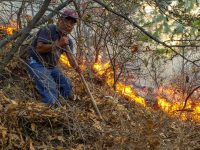 Combaten instancias estatales, municipales y federales incendio en la región Mixteca