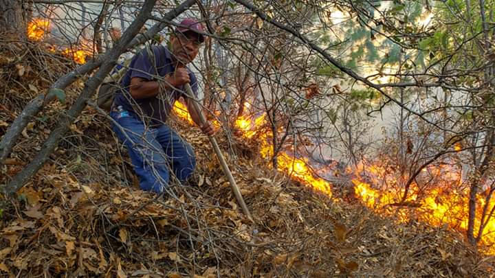Combaten instancias estatales, municipales y federales incendio en la región Mixteca