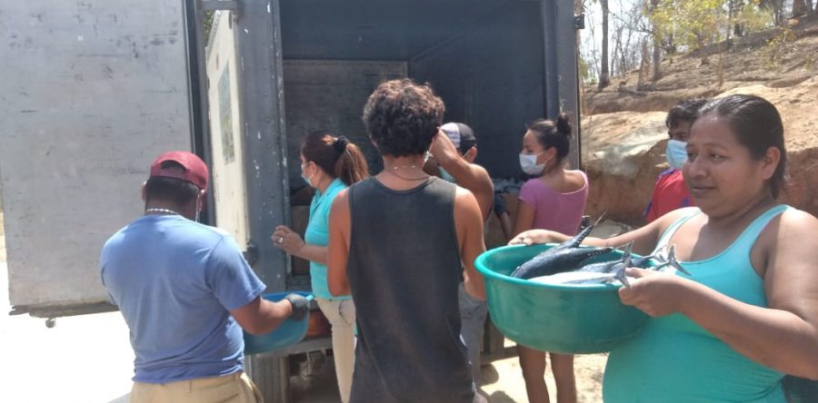 10 mdp en pescado al mes a los pobres, si AMLO y AMH apoyan: Alfredo Martínez de Aguilar