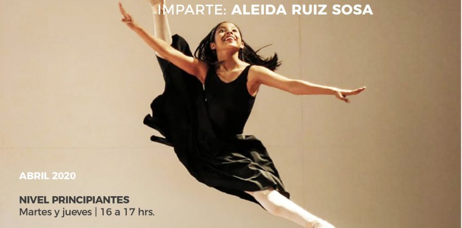 Transmitirá Seculta clases virtuales de ballet gratuitas