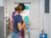 Las trabajadoras del hogar: Horacio Corro Espinosa