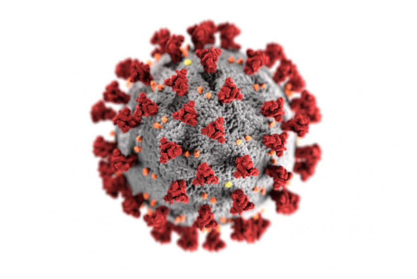 La pandemia y el orden social: Jaime Velázquez