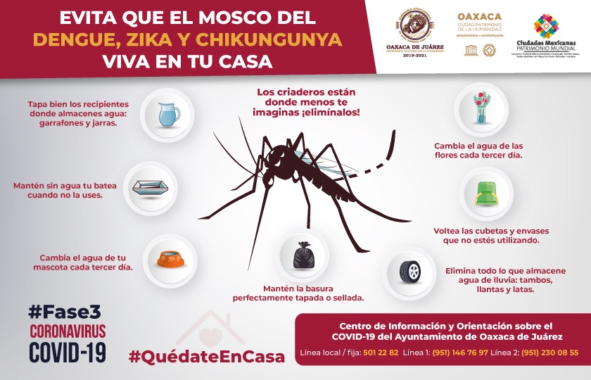 Llama Ayuntamiento de Oaxaca a sanear hogares para evitar el dengue