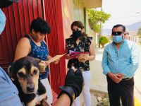 Encuentra Ayuntamiento de Oaxaca hogar responsable a canino abandonado