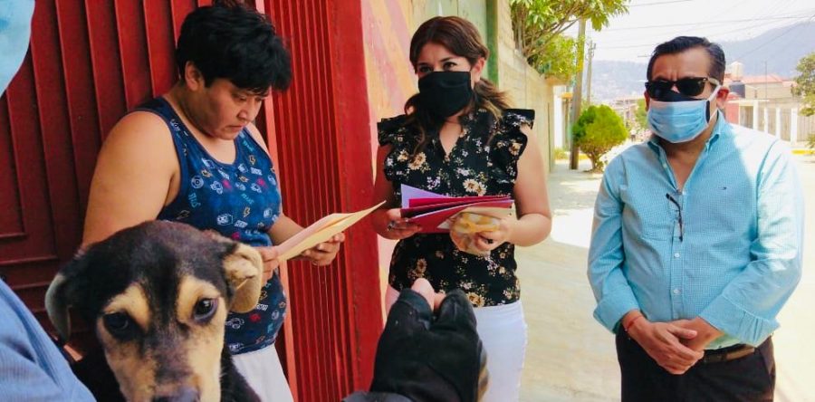 Encuentra Ayuntamiento de Oaxaca hogar responsable a canino abandonado