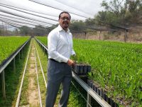 450 mil plantas serán plantadas este 2020 por la Regiduría de Medio Ambiente de Huajuapan