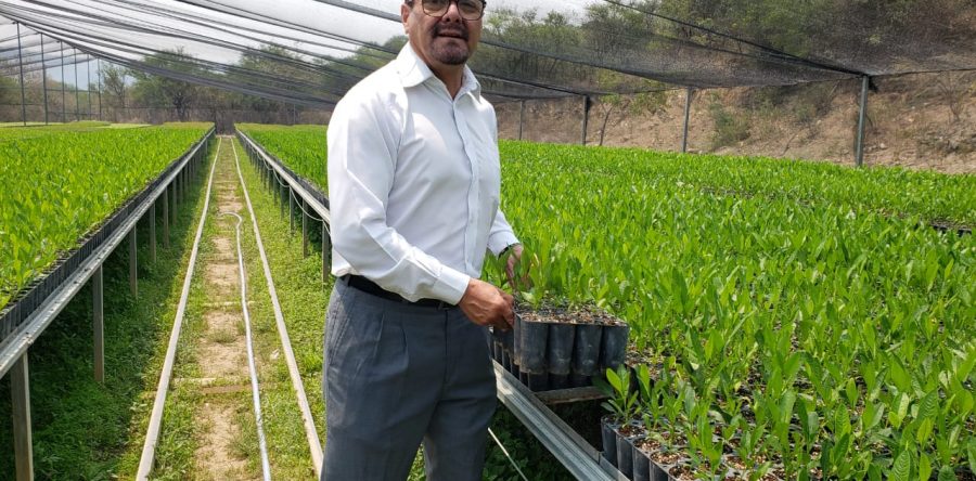 450 mil plantas serán plantadas este 2020 por la Regiduría de Medio Ambiente de Huajuapan