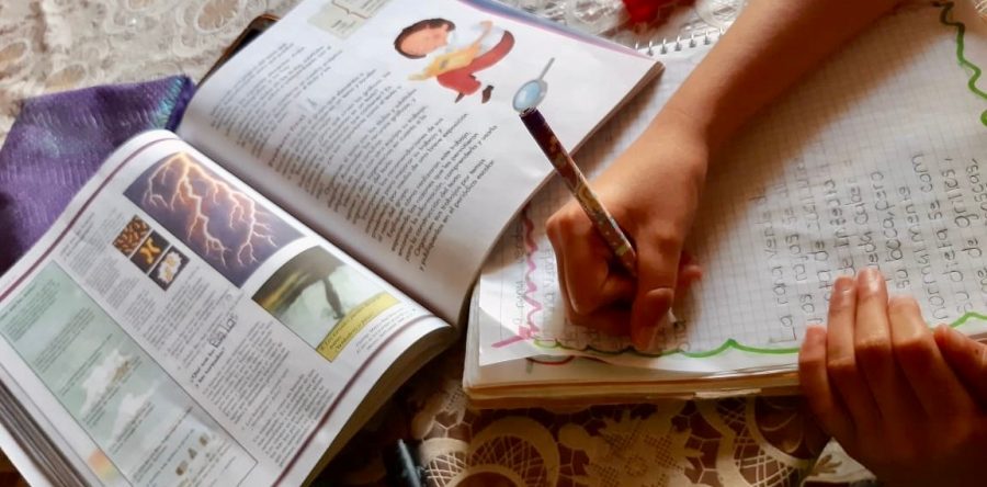 Libros de texto gratuitos, clave para el aprendizaje en casa que el IEEPO recomienda consultar