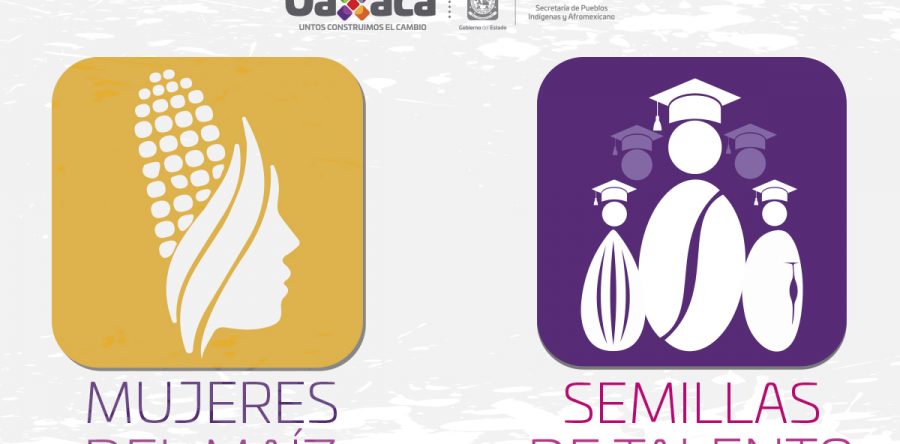 Sepia trabaja en la reactivación económica de las mujeres y jóvenes indígenas y afromexicanos