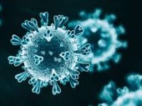 ¿Son constitucionales las restricciones a la movilidad  de las personas en comunidades indígenas de Oaxaca: Adrián Ortiz Romero Cuevas