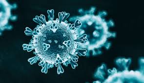 ¿Son constitucionales las restricciones a la movilidad  de las personas en comunidades indígenas de Oaxaca: Adrián Ortiz Romero Cuevas