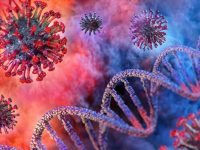 OMS pide a China invitación para investigar origen del Covid-19