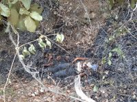 Fiscalía General efectúa diligente y exhaustiva investigación por feminicidio de adolescente y homicidio de bebé, cometido en Ejutla de Crespo