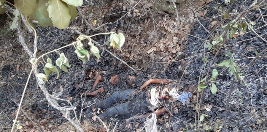 Fiscalía General efectúa diligente y exhaustiva investigación por feminicidio de adolescente y homicidio de bebé, cometido en Ejutla de Crespo