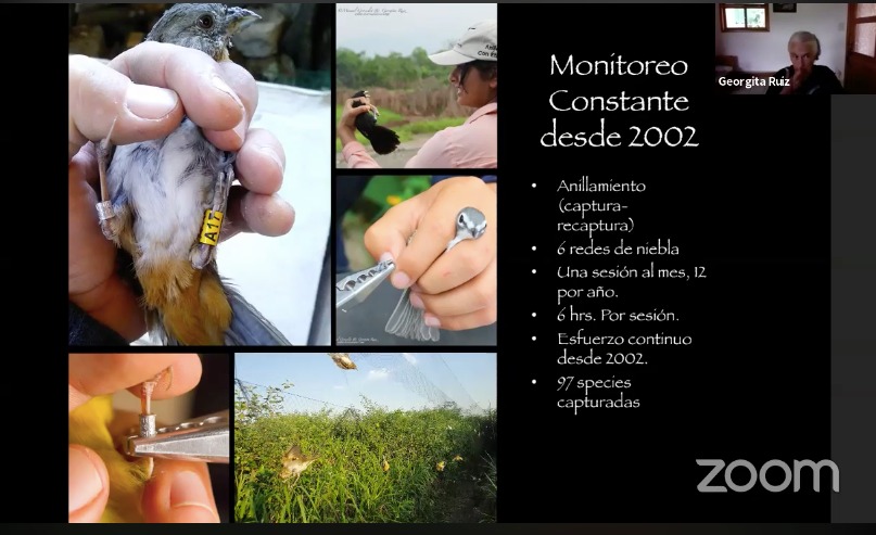 Oaxaca, sitio privilegiado para el monitoreo y estudio de aves: Semaedeso