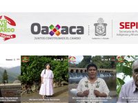 Pueblos de Oaxaca, hacen un llamado a la ciudadanía oaxaqueña a quedarse en casa