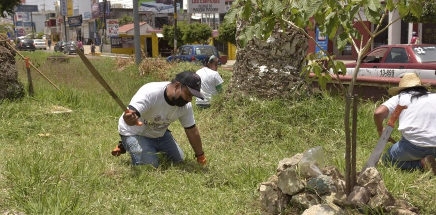 Culmina el programa “Labor Comunitaria” del Ayuntamiento de Oaxaca de Juárez