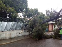Se activan protocolos para atender los daños generados por lluvias en Oaxaca