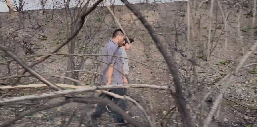 La Seculta invita a disfrutar del cortometraje “El último bosque”