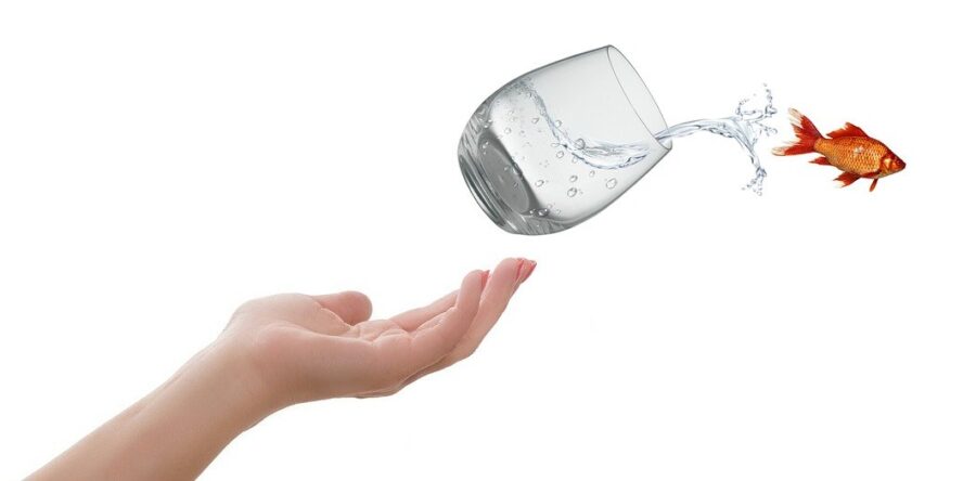 México 2000: la transición que no pudo ser: Carlos Ramírez