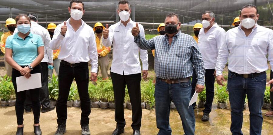 Entrega Alejandro Murat 60 mil árboles maderables en beneficio de 12 municipios de la Sierra Sur