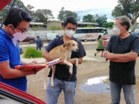 Encuentra hogar canino rescatado por el Ayuntamiento de Oaxaca de Juárez