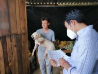 Garantiza Ayuntamiento de Oaxaca de Juárez una mejor calidad de vida a canino maltratado