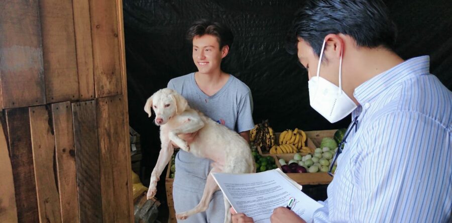 Garantiza Ayuntamiento de Oaxaca de Juárez una mejor calidad de vida a canino maltratado