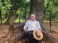 Tras revés a Zavala y Calderón, López Obrador da mensaje