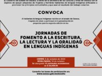Impulsa Seculta apoyo a proyectos de hablantes de lenguas indígenas