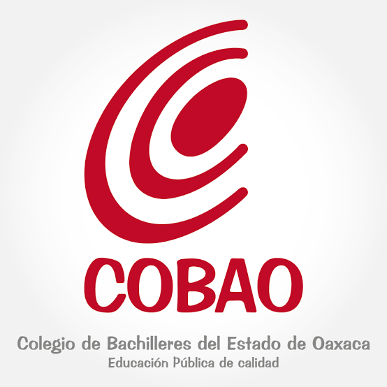 Fortalece Cobao enseñanza en modalidad virtual con plataforma educativa