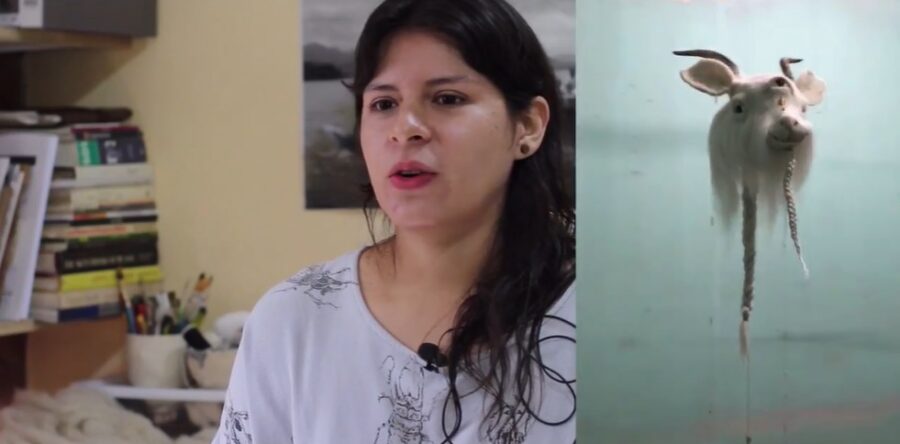 “Noches de Arte” llega a su edición 20 como referente de la diversidad artística de Oaxaca de Juárez