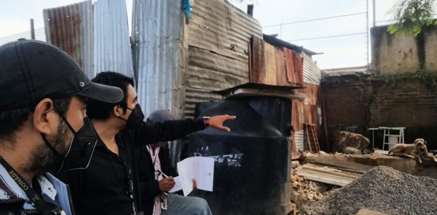 Atiende Ayuntamiento de Oaxaca de Juárez 361 denuncias por presunto maltrato animal