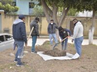 Coordina Ayuntamiento capitalino tequio ciudadano en el Fraccionamiento Los Sauces