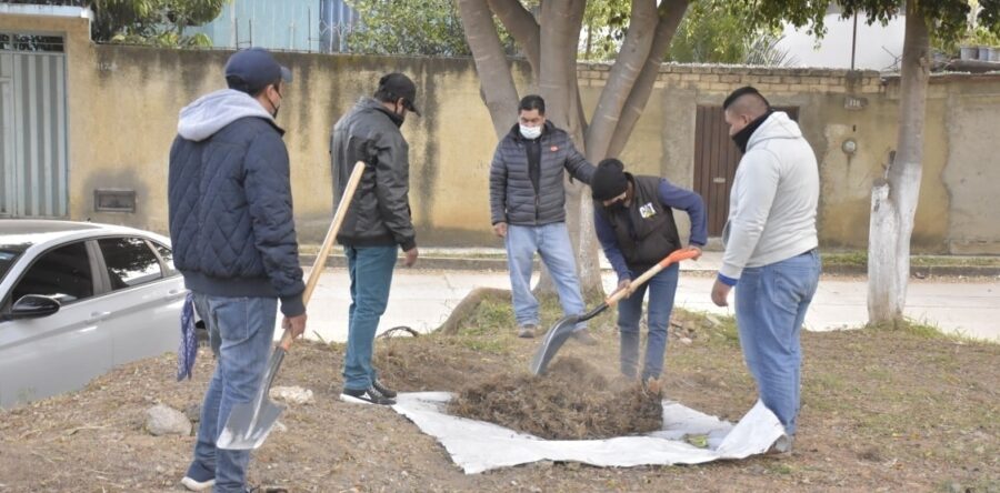 Coordina Ayuntamiento capitalino tequio ciudadano en el Fraccionamiento Los Sauces