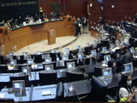 Senado aprueba uso lúdico de la mariguana; consumo, prohibido en lugares públicos