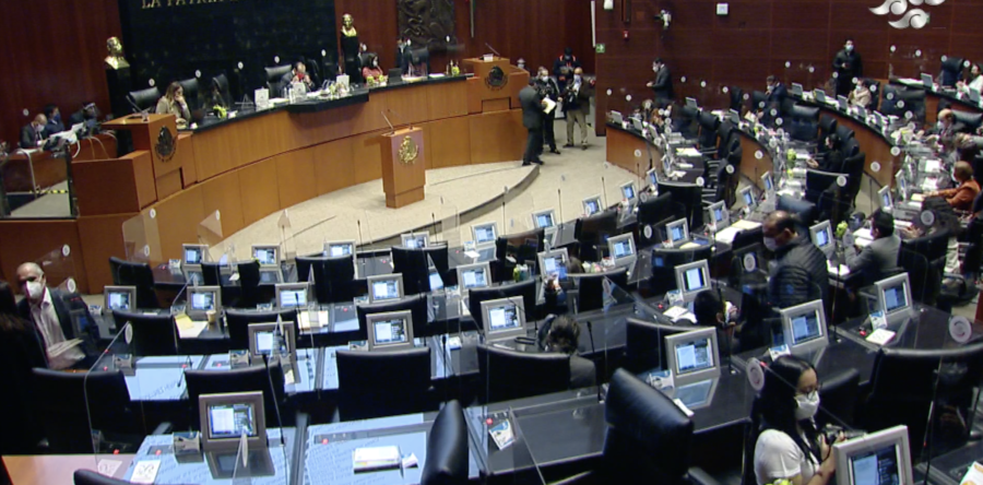 Senado aprueba uso lúdico de la mariguana; consumo, prohibido en lugares públicos