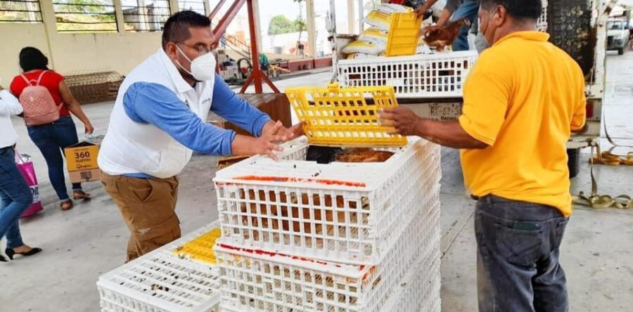 DIF Oaxaca fortalece las Cocinas Comunitarias con entrega de paquetes avícolas en la Cuenca: Christian Holm Rodríguez