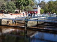 Trabaja SAPAO en el mantenimiento de la planta “Fortín 1”