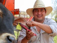 Oaxaca entre las únicas cuatro entidades del país que registran disminución de la pobreza laboral