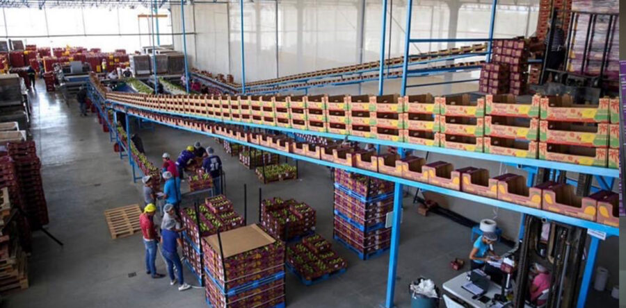 Se consolida Oaxaca en la exportación de productos agroalimentarios