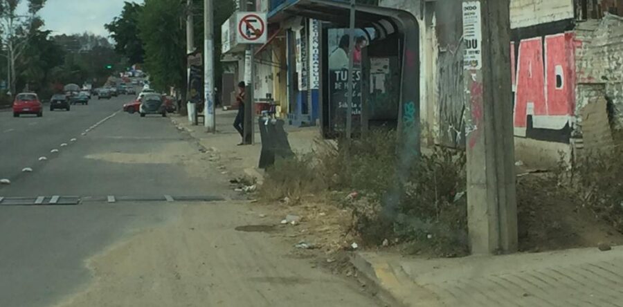 Debe contribuir a prevenir la COVID-19 servicio del Citybus: Alfredo Martínez de Aguilar