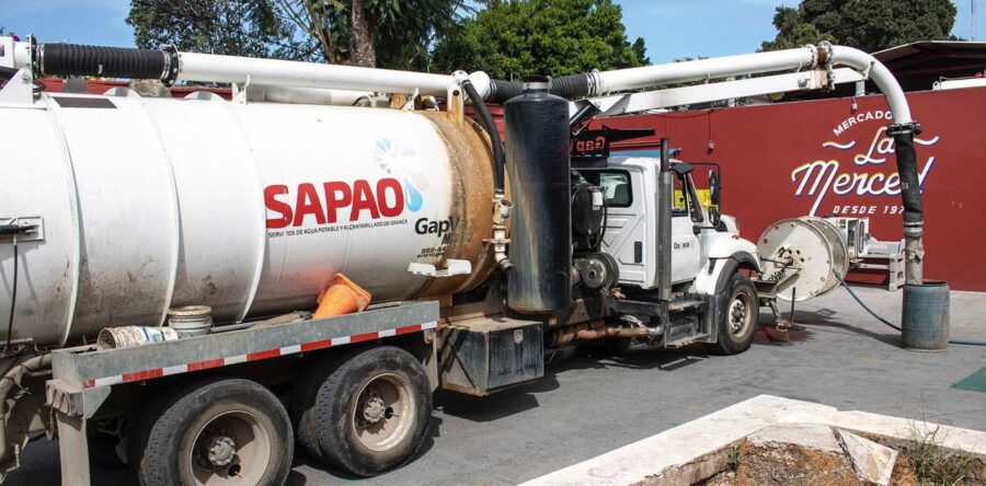 Buscan rescatar arbolado del centro de la ciudad con colecta