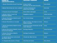 Anuncia Seculta resultados de la convocatoria Dotación de Instrumentos Musicales