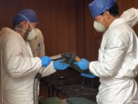 Pese a pandemia, AGEO continúa medidas de conservación documental