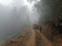 #AguaParaAyutla: Moisés Molina