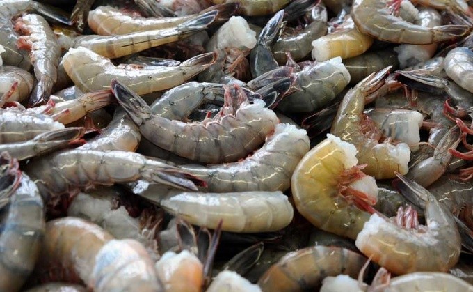 Van por marca de camarón mexicano para vender en EU