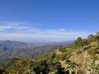 Refuerza Gobierno del Estado alianza de colaboración con la Agencia de Cooperación Alemana al Desarrollo Sustentable